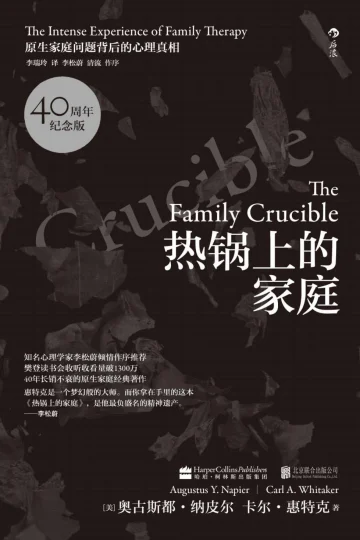 《热锅上的家庭：家庭问题背后的心理真相》封面