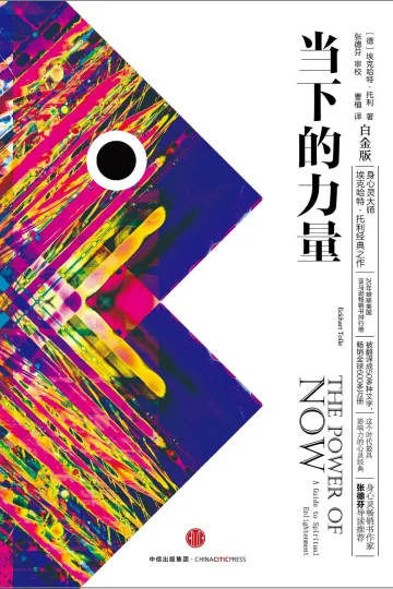 《当下的力量（白金版）》封面