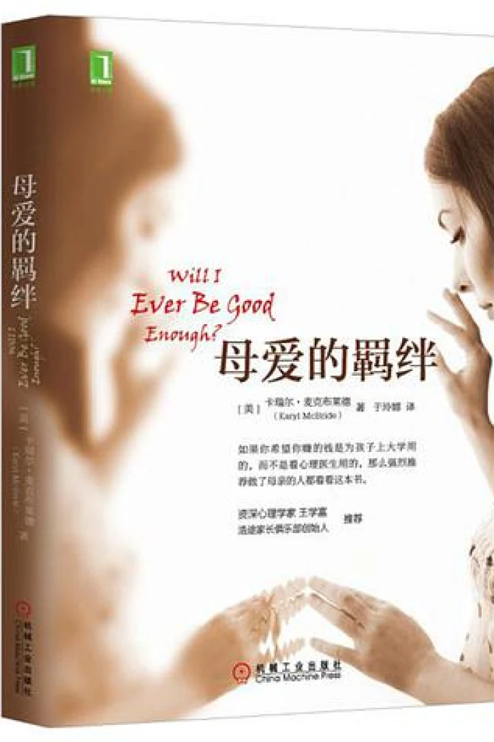 《母爱的羁绊》真实书籍封面