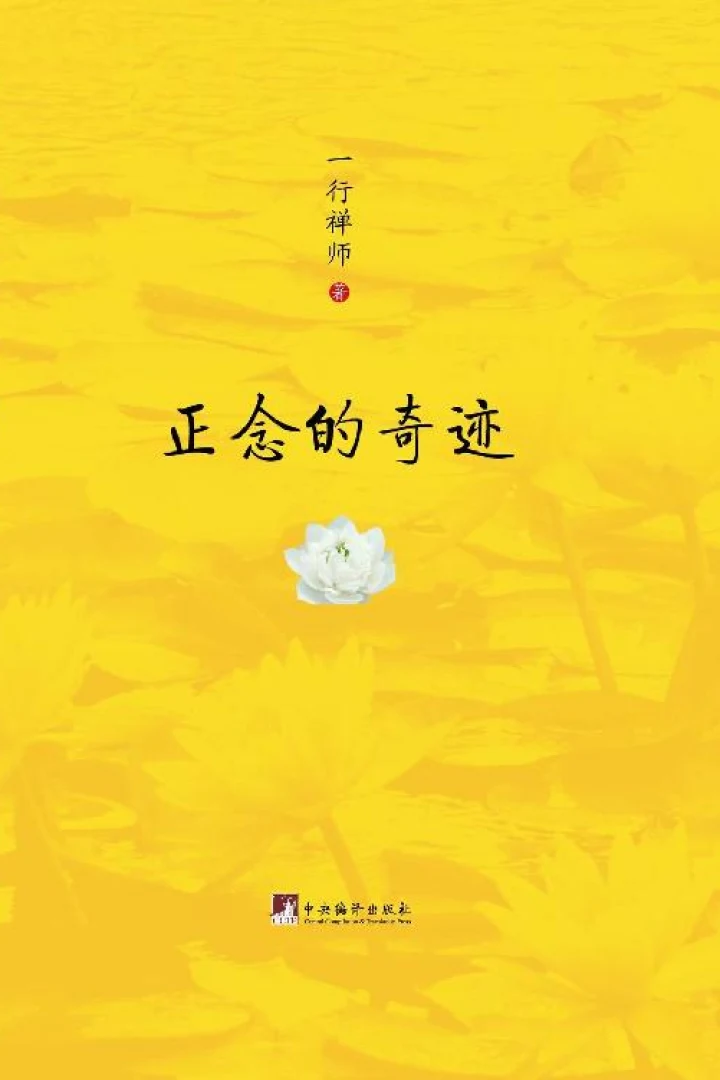 《正念的奇迹》真实书籍封面