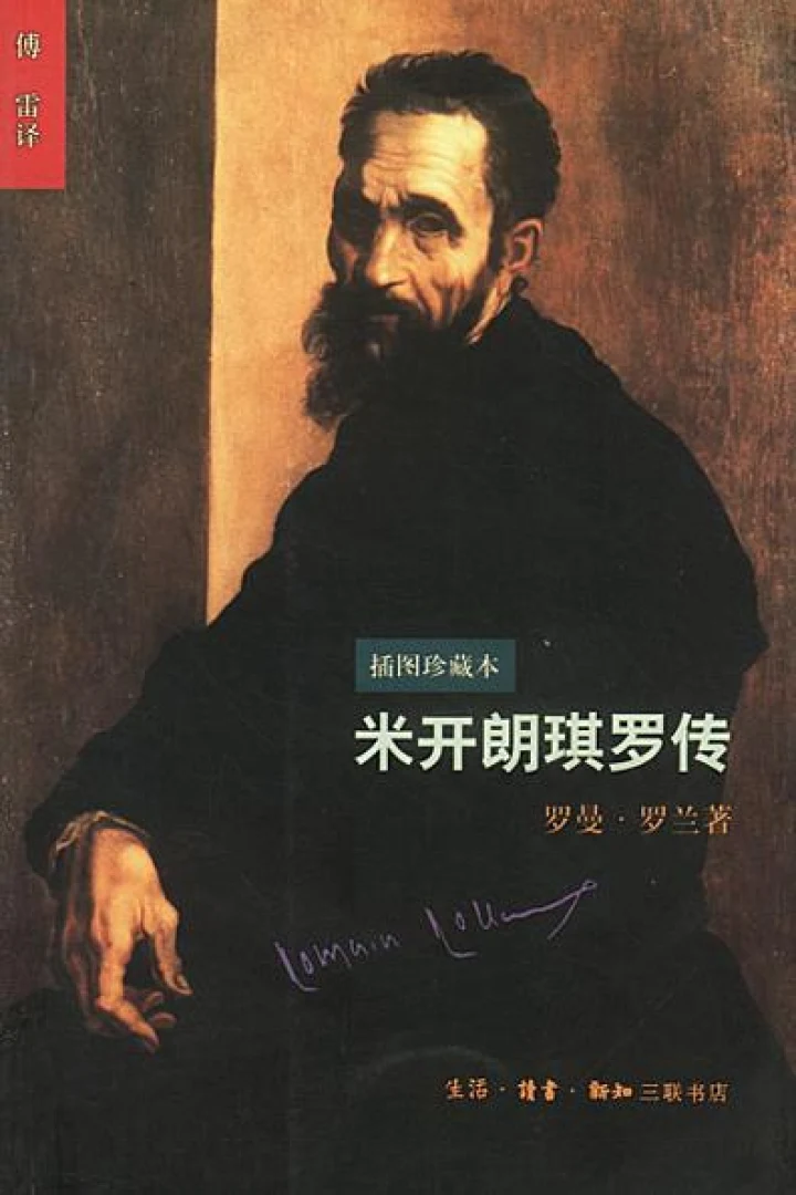 《米开朗琪罗传》真实书籍封面