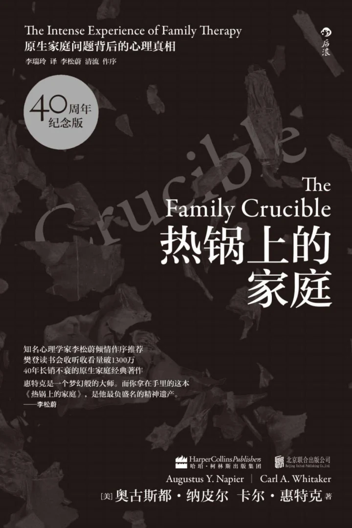 《热锅上的家庭:家庭问题背后的心理真相》真实书籍封面